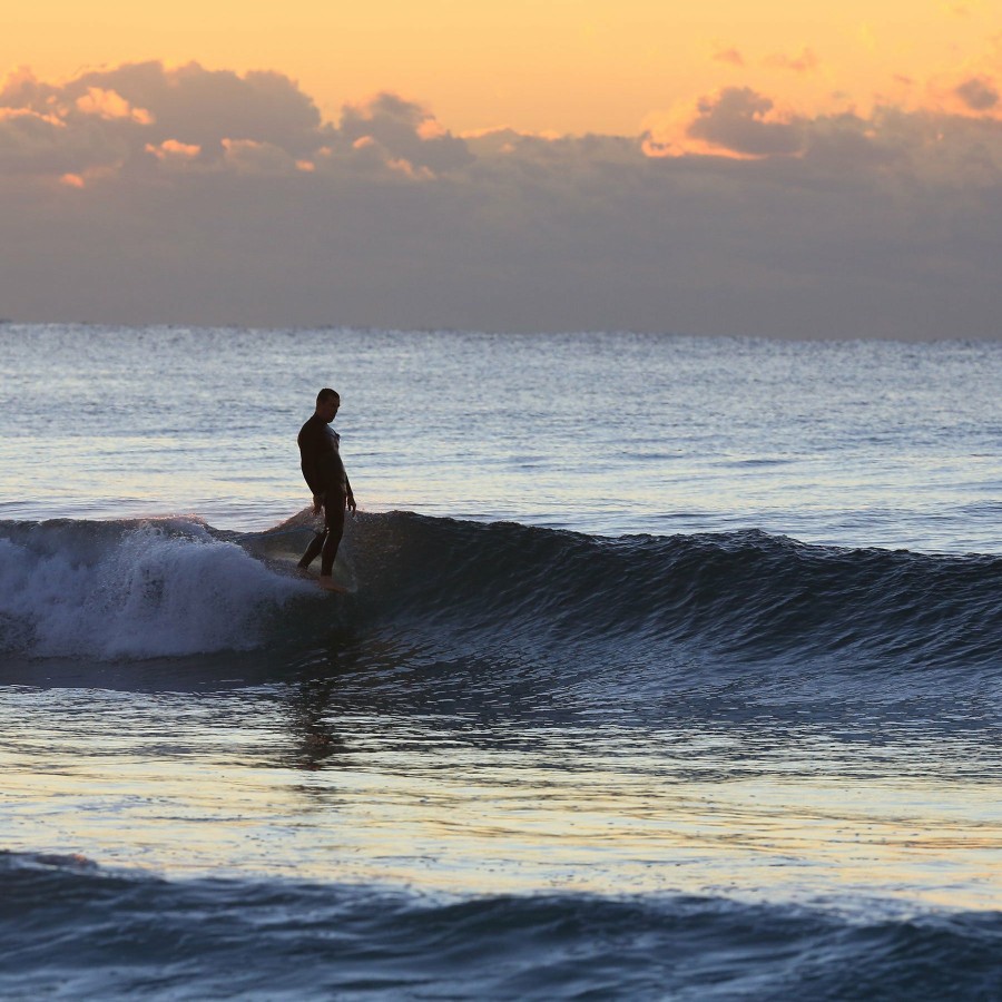 Surfboard Leashes * | Limited Edition Diamond Flex Longboard Knee 9Ft