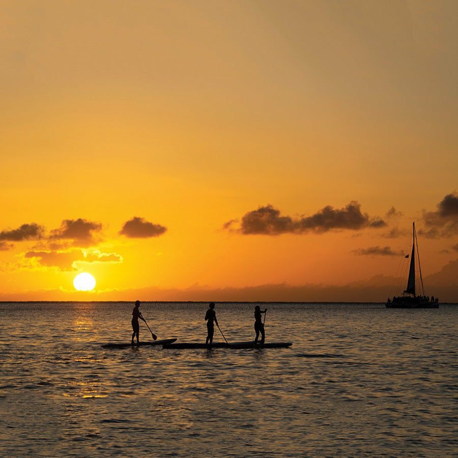 Soft Boards * | Excellent Cruiser Epoxy / Bamboo Sup Board 10'6